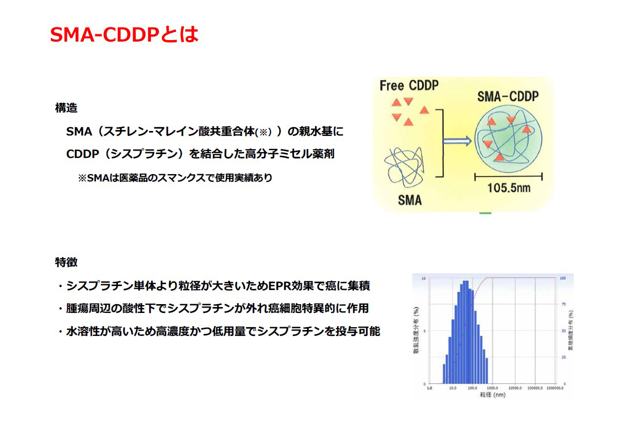 SMA-CDDPとは