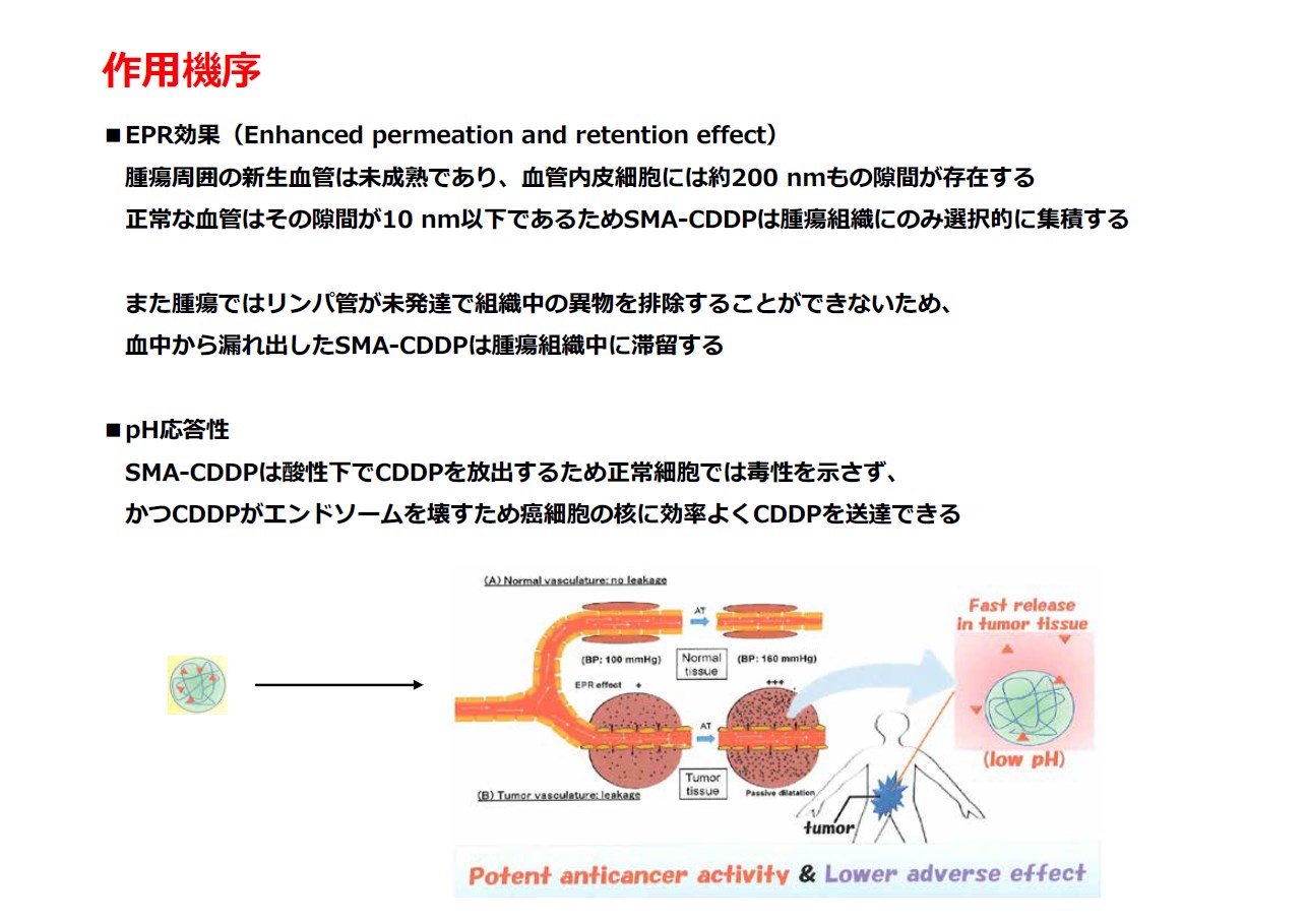 作用機序（EPR効果、pH応答性）