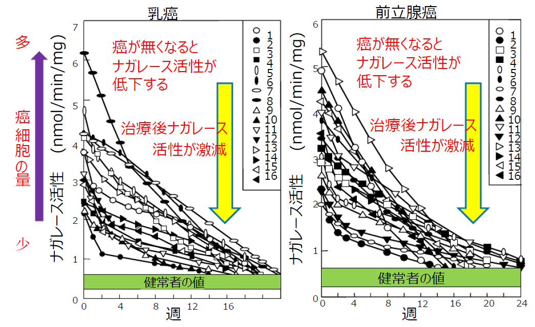 実際に行った癌患者のIAF治療例
