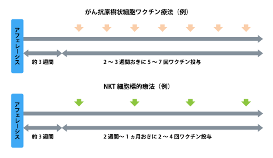 がん抗原樹状ワクチン療法の例